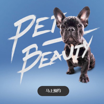 德江宠物中心小程序开发